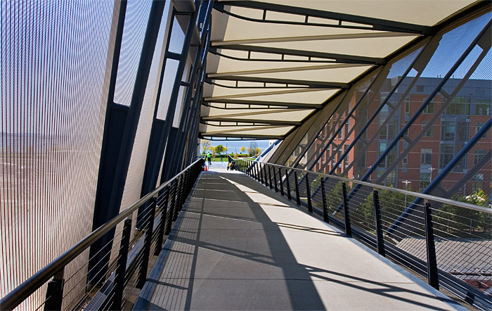 Down the Bridge