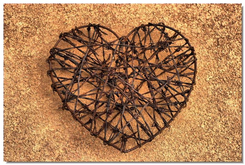 Thorny Love