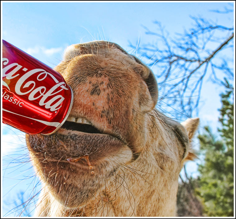 Things go better with Coke.