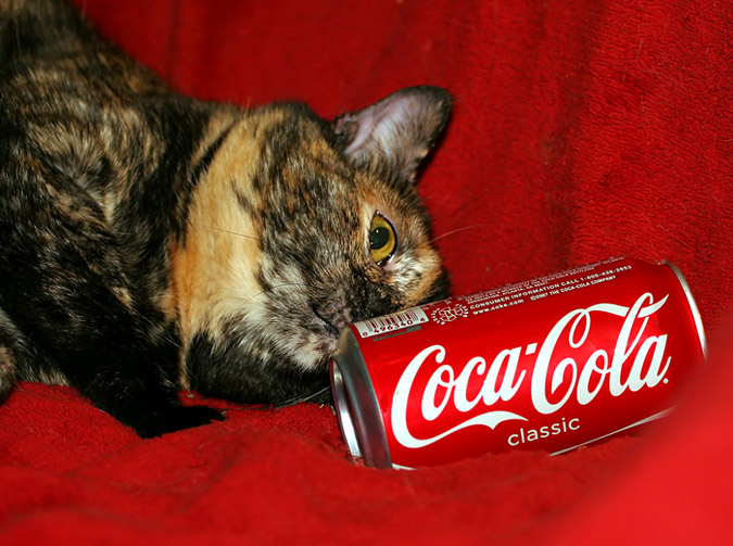 OK, who knows how to open this thing?