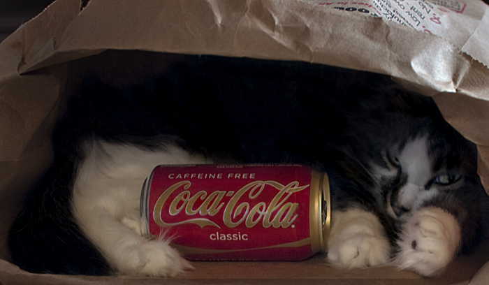 Dreaming Of Coke