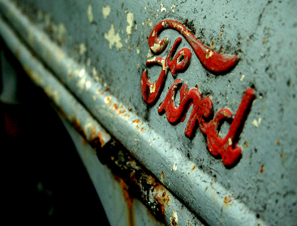 2nd Place  <br>Tough but Rusted <br> by Mary Anne