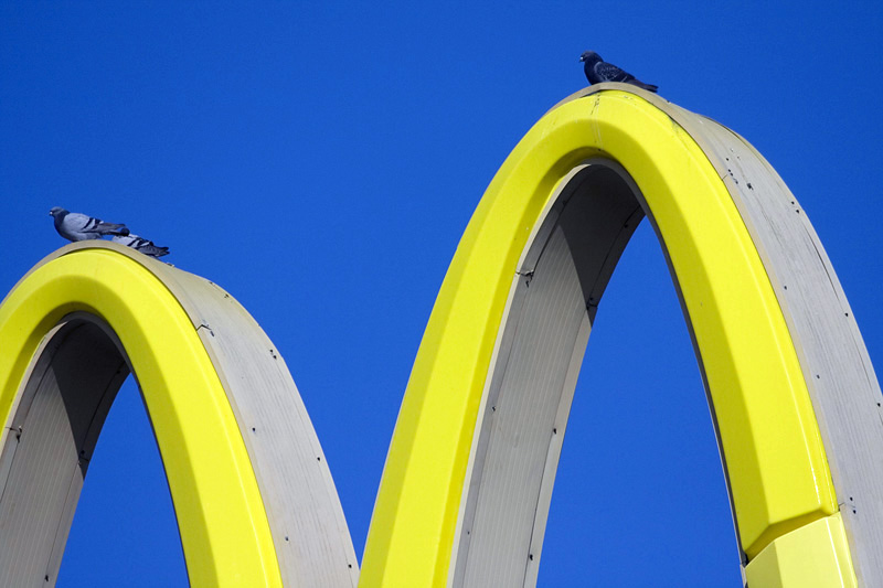 Golden Perches
