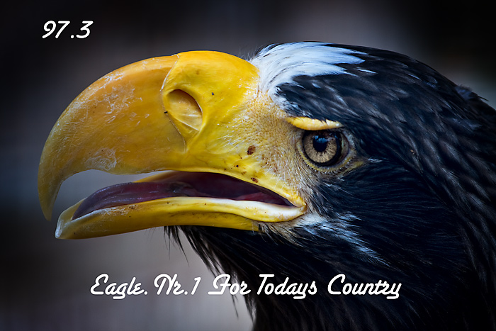 The Eagle