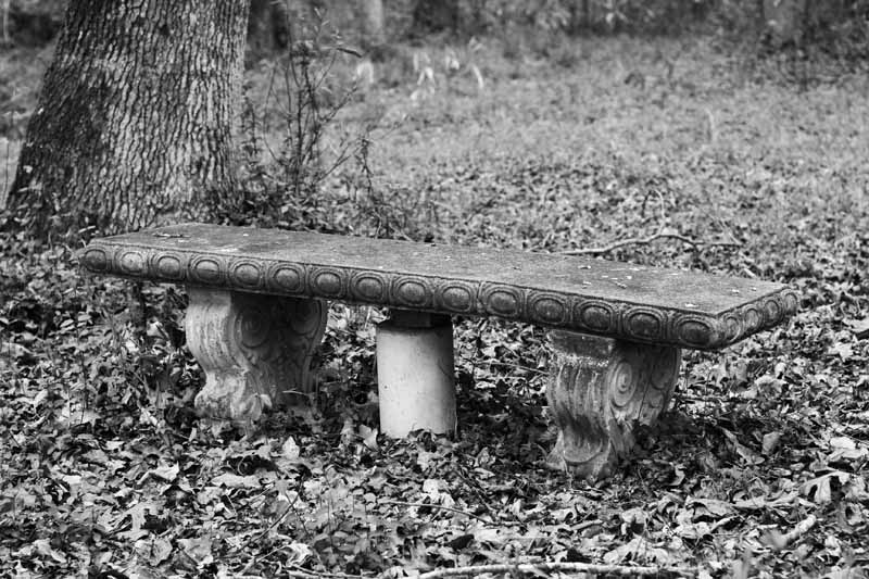 <B>Bench</B>