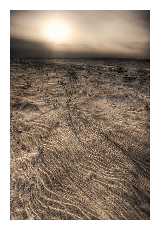 Third Place <br>Curve Formations <br>by Techo