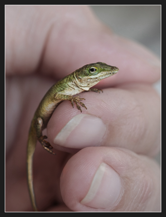 Two for a Manicure, Please...