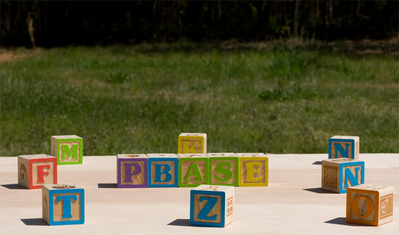 <B>Pbase Blocks</B>