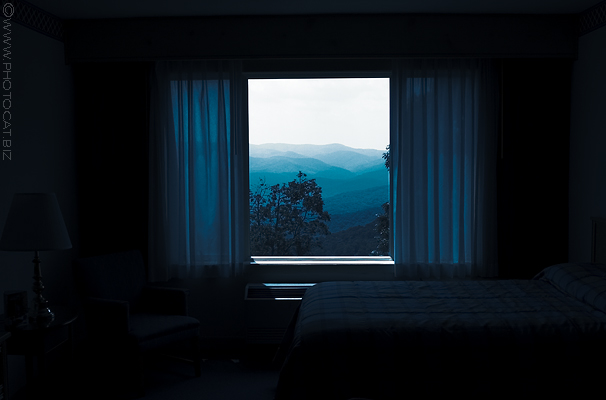 Room with a view