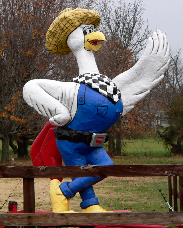 Chicken Man - Americana