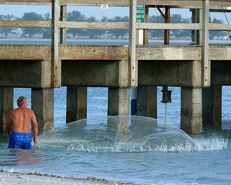 Net Fishing - 3 of 3