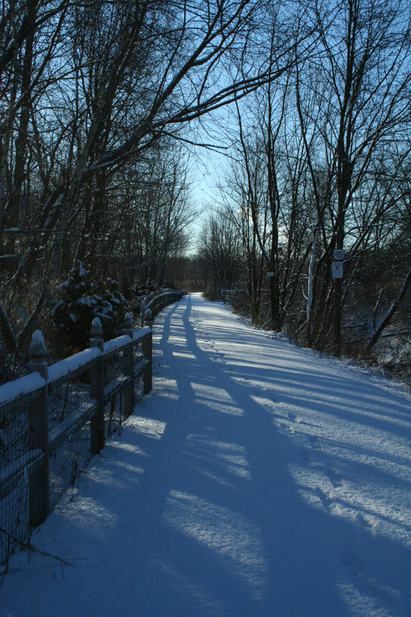 Shadow Fence