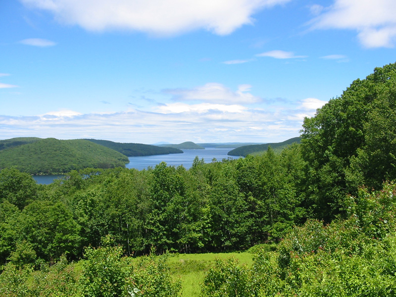 Summer at the Reservoir