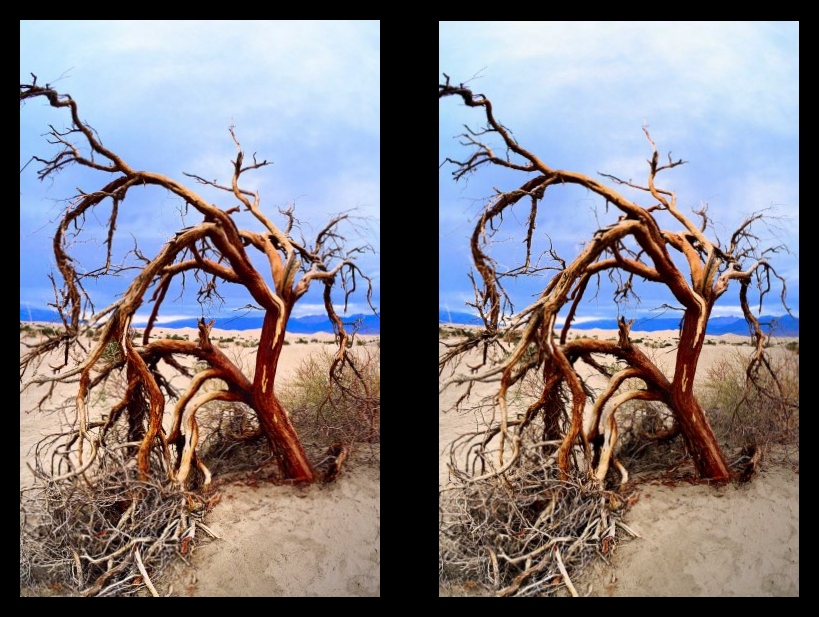 DeathValley3DTree.jpg