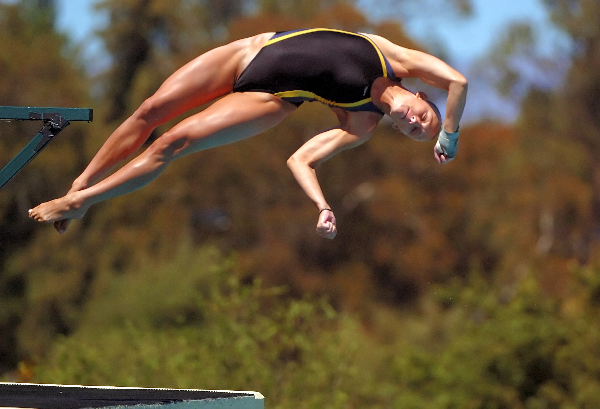 D2Ha_2030StanfordDive1.jpg