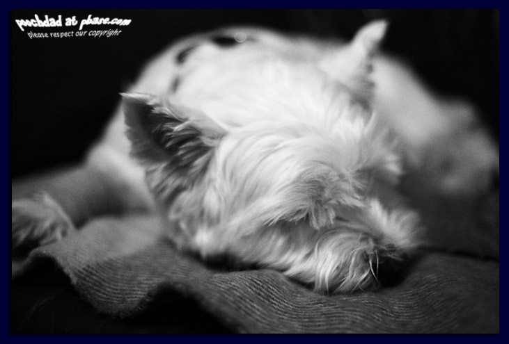 poorly boy
