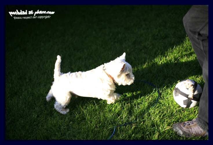 getting the football out