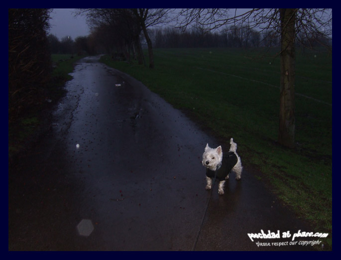 27122006 its definitely winter