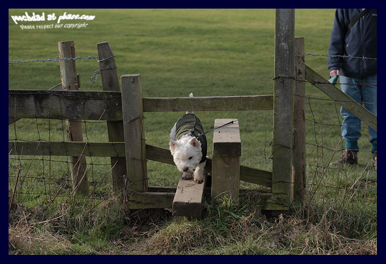 over the stile