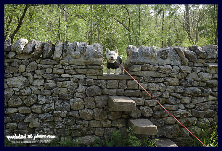 21052007 climbing the wall