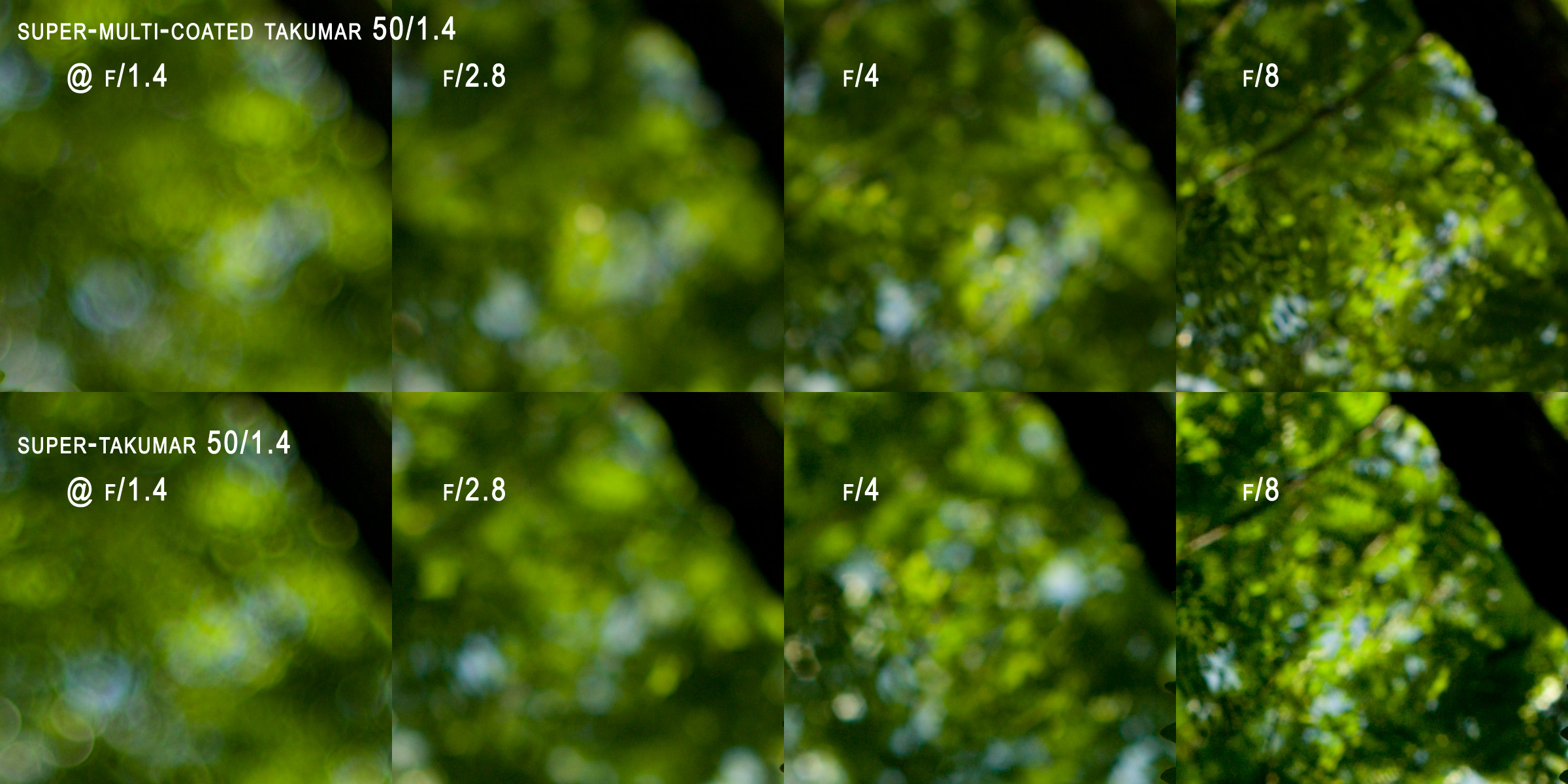 Tree Crop