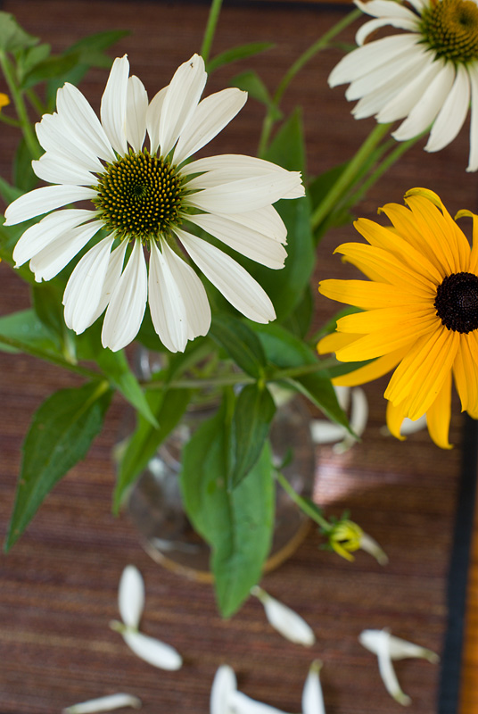 Pentax-FA 50/1.4 @ f/8