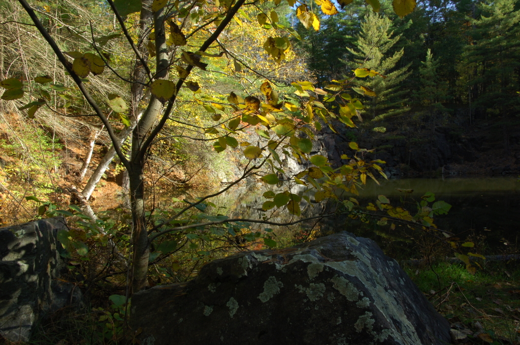 DR3_5034.JPG