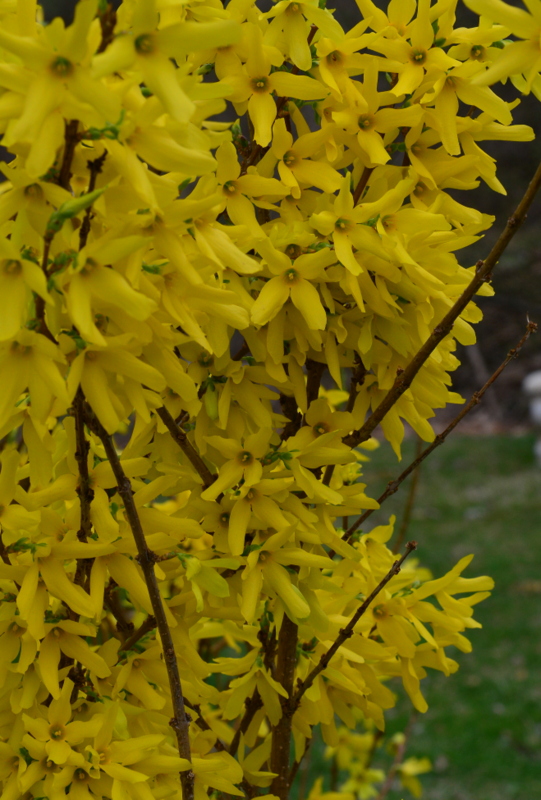 WE1_0157.JPG