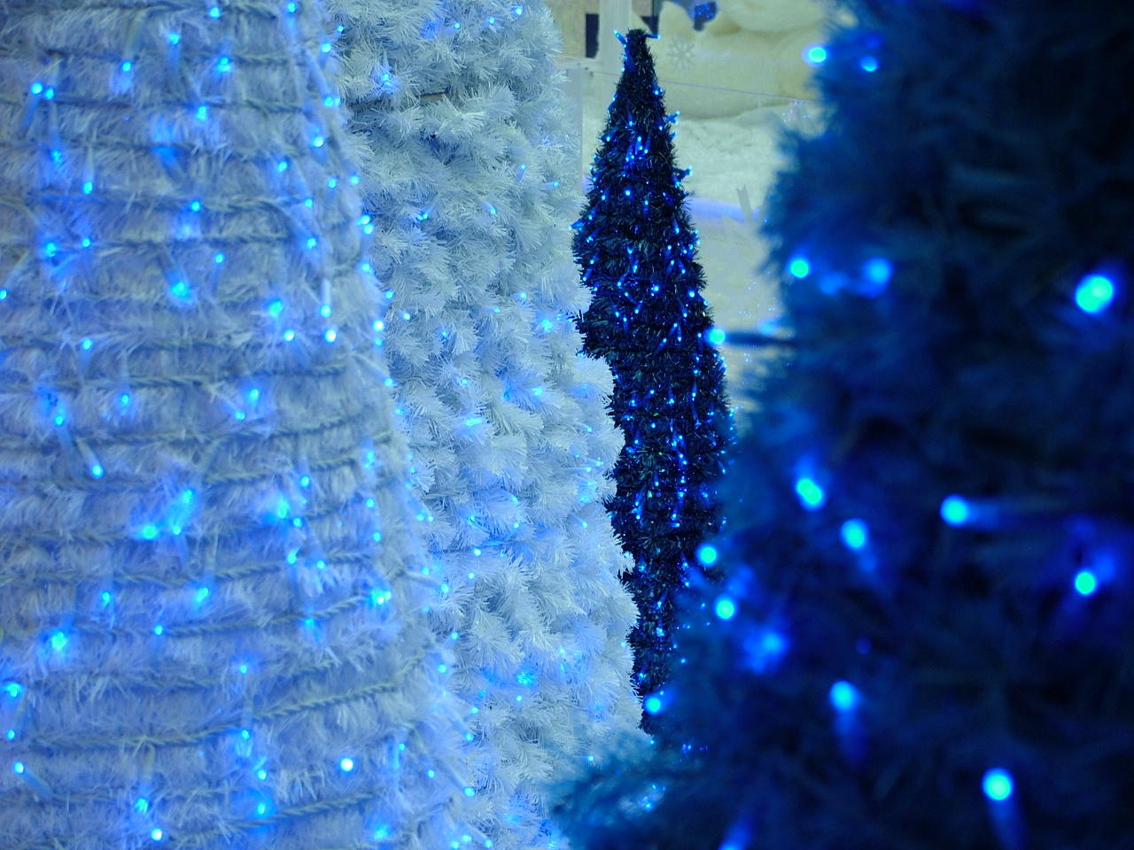 Christmas Trees Mall of the Emirates.JPG