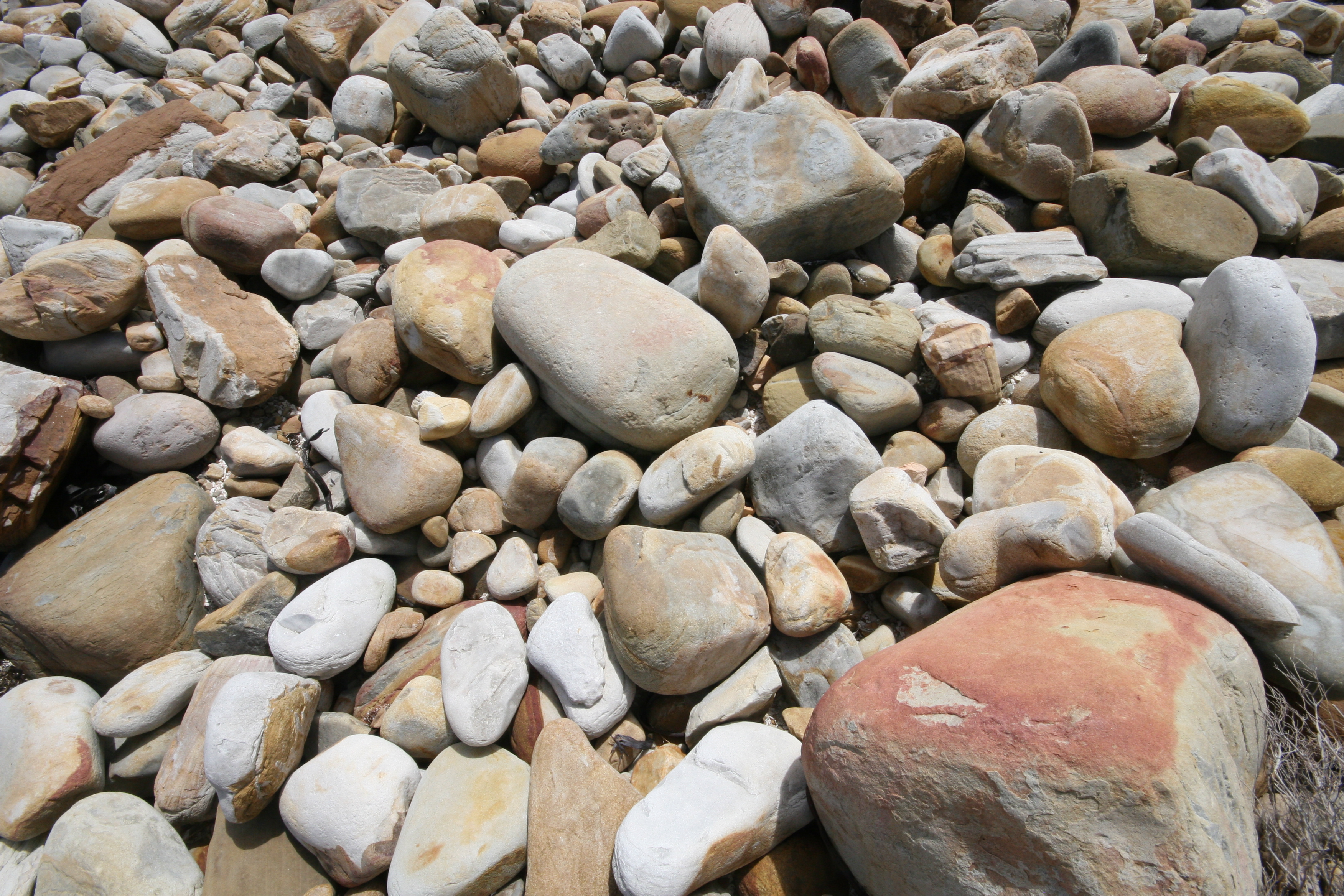 Pebbles on a beach.JPG