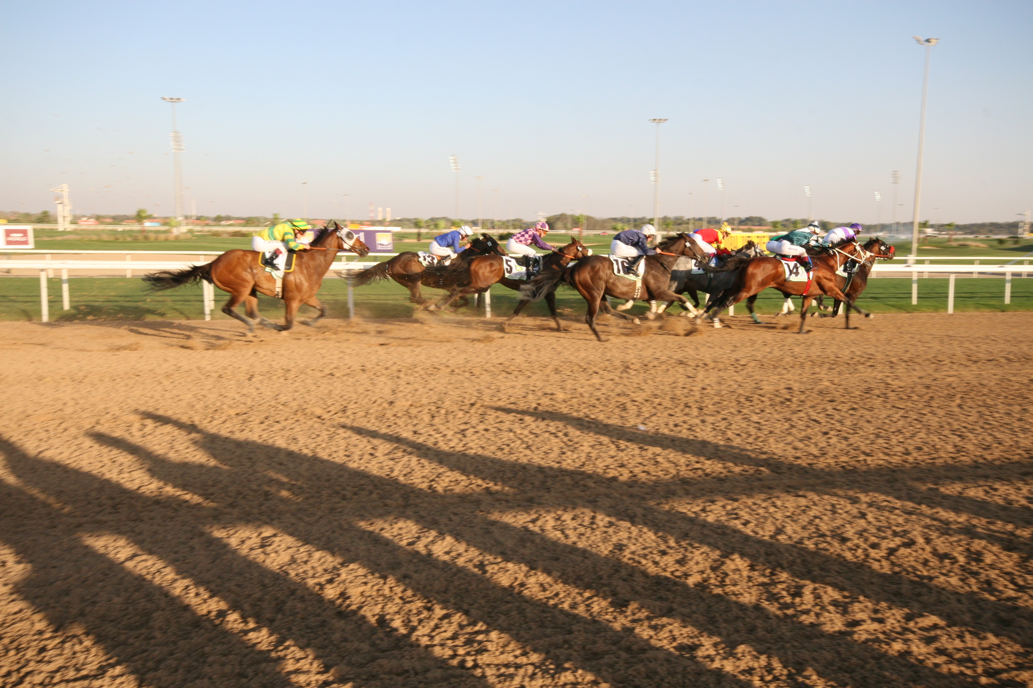 Dubai World Cup 2007.JPG