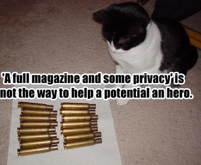 o6/36/6836/1/78587428.ZraCJpFv.cat_with_brassbirdhero.jpg