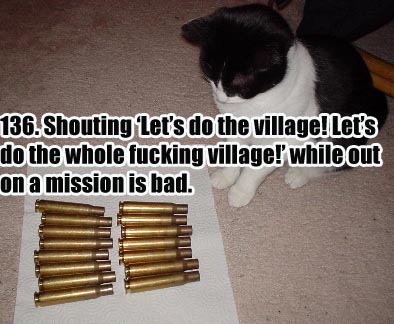 o6/36/6836/1/78587434.C6CS7lR0.cat_with_brassbirdvil.jpg