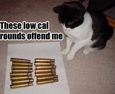 o6/36/6836/1/78587446.xvXJgOdJ.cat_with_brasslowcal.jpg