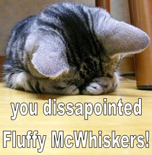 disapnted_kitty.jpg
