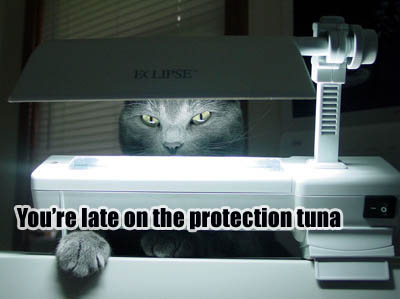 cateclipseprotect.jpg