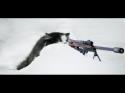 sniper_cat.jpg