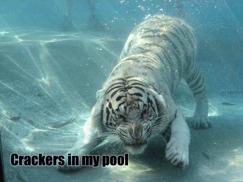 under_water_crackers.jpg