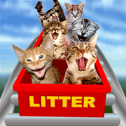 litter flumes Cat Litter Roller coaster