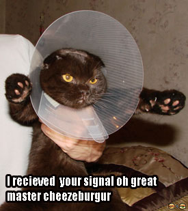 signal.jpg