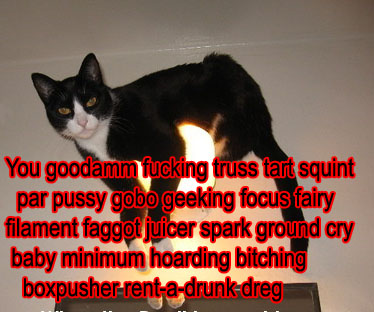 electinsult.jpg truss tart squint, par pussy, gobo geek, focus fairy