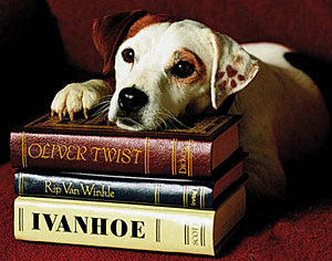 wishbone.jpg