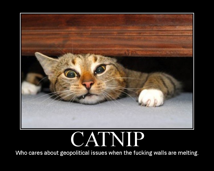 catnip.jpg