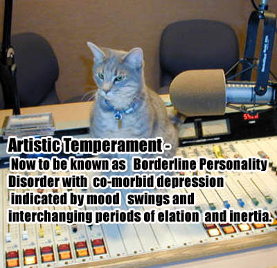 arttemp.jpg Soundboard cat artistic temperment