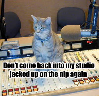 backtostudio.jpg don't come to studio high