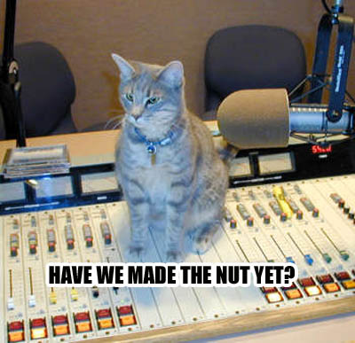 madnut.jpg Have we made the nut yet?