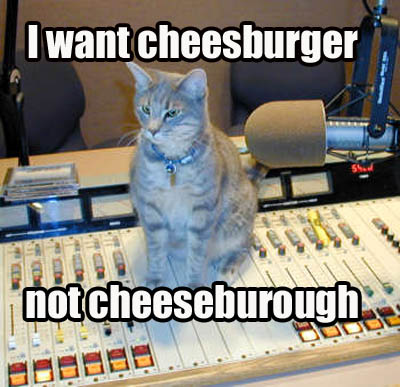 cheeseburough.jpg cheeseburger noot chesse borough