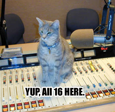 yup all 16 here.jpg fake crew call filled