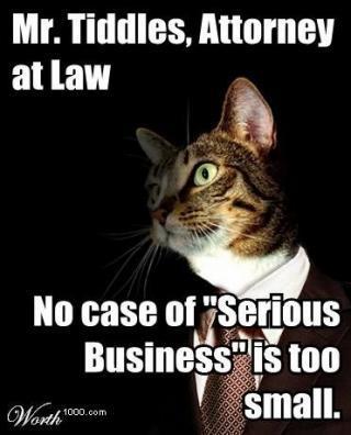 MrTiddlesAtty-1.jpg Cat Lawyer macro  no SRS BIZ bizness too small