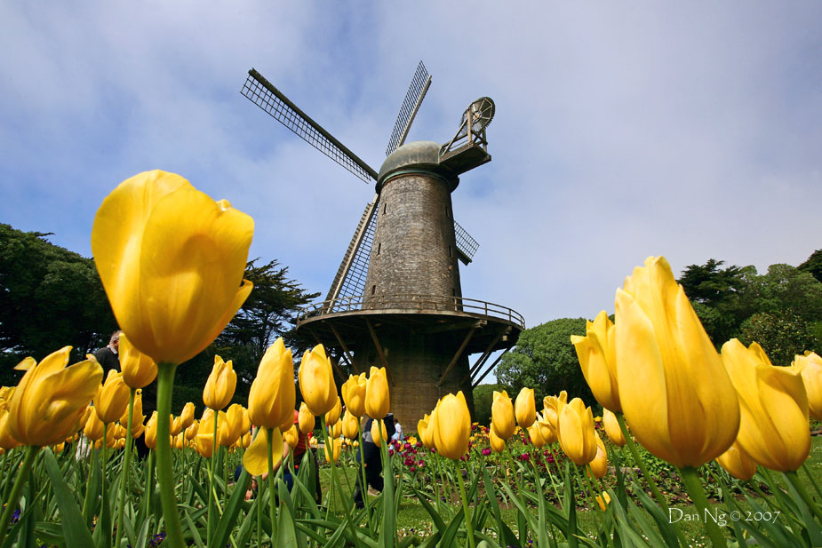 A Dutch Touch in San Francisco